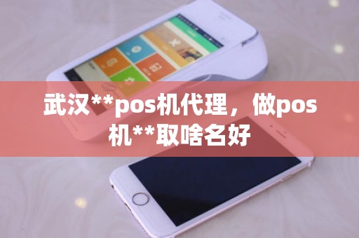 武汉**pos机代理，做pos机**取啥名好