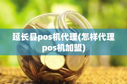 延长县pos机代理(怎样代理pos机加盟)