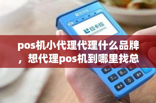 pos机小代理代理什么品牌，想代理pos机到哪里找总公司