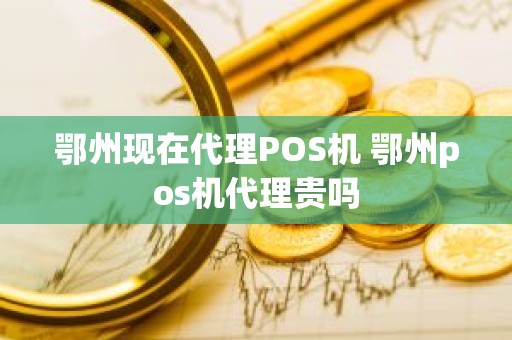 鄂州现在代理POS机 鄂州pos机代理贵吗