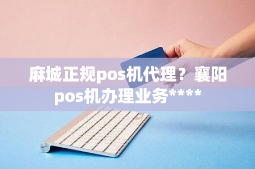 麻城正规pos机代理？襄阳pos机办理业务****