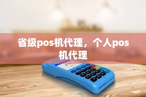 省级pos机代理，个人pos机代理