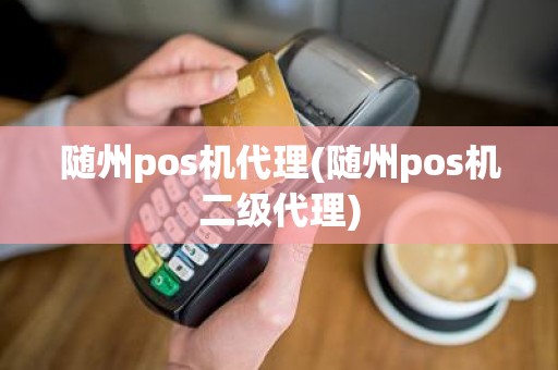 随州pos机代理(随州pos机二级代理)