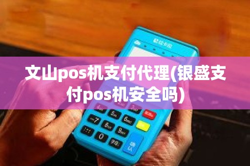 文山pos机支付代理(银盛支付pos机安全吗)