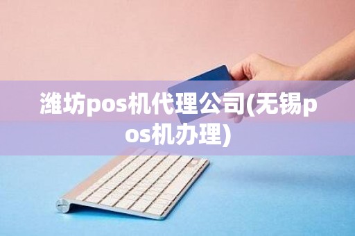 潍坊pos机代理公司(无锡pos机办理)