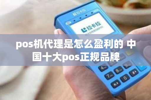 pos机代理是怎么盈利的 中国十大pos正规品牌