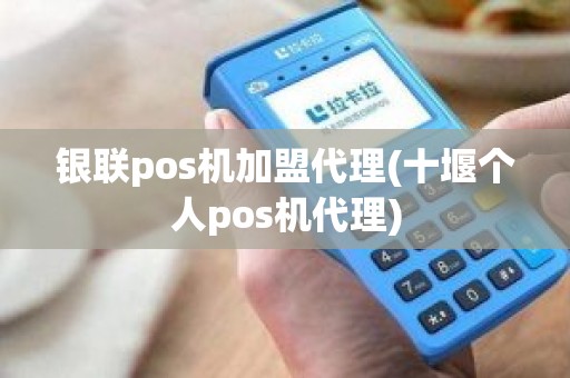 银联pos机加盟代理(十堰个人pos机代理)