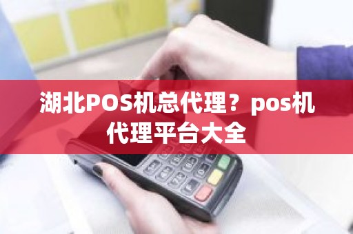 湖北POS机总代理？pos机代理平台大全