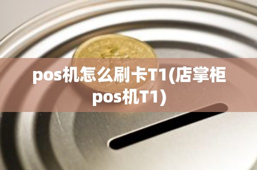 pos机怎么刷卡T1(店掌柜pos机T1)