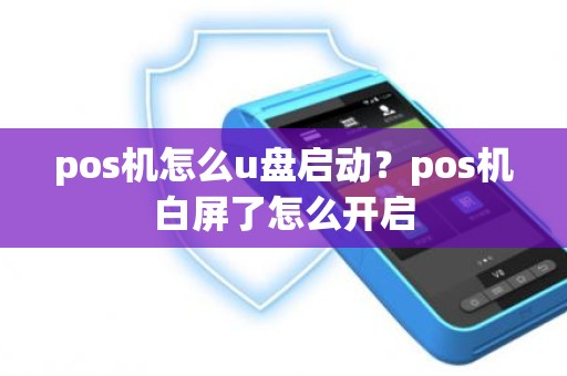 pos机怎么u盘启动？pos机白屏了怎么开启