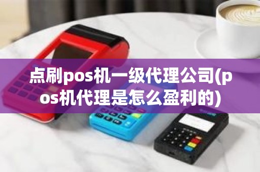 点刷pos机一级代理公司(pos机代理是怎么盈利的)