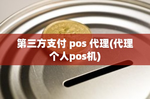 第三方支付 pos 代理(代理个人pos机)