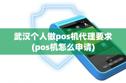 武汉个人做pos机代理要求(pos机怎么申请)