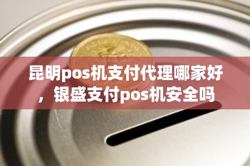 昆明pos机支付代理哪家好，银盛支付pos机安全吗