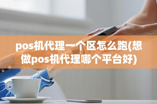 pos机代理一个区怎么跑(想做pos机代理哪个平台好)