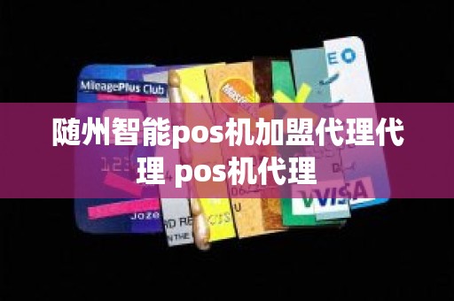 随州智能pos机加盟代理代理 pos机代理