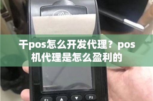 干pos怎么开发代理？pos机代理是怎么盈利的