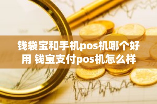 钱袋宝和手机pos机哪个好用 钱宝支付pos机怎么样