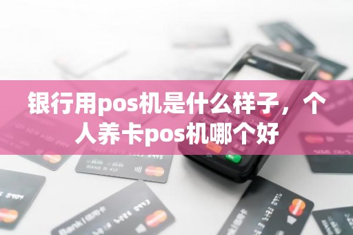 银行用pos机是什么样子，个人养卡pos机哪个好