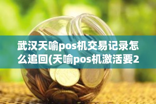 武汉天喻pos机交易记录怎么追回(天喻pos机激活要298元)