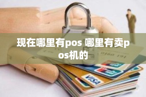 现在哪里有pos 哪里有卖pos机的