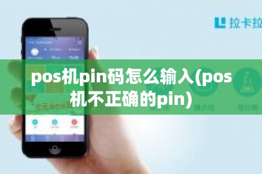 pos机pin码怎么输入(pos机不正确的pin)