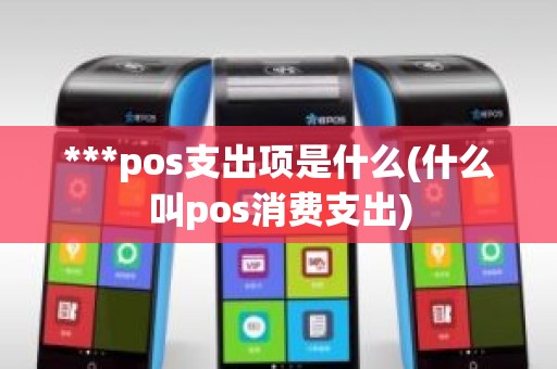 ***pos支出项是什么(什么叫pos消费支出)