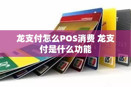 龙支付怎么POS消费 龙支付是什么功能