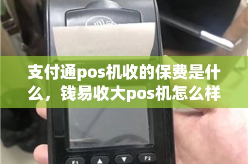 支付通pos机收的保费是什么，钱易收大pos机怎么样