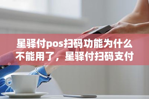 星驿付pos扫码功能为什么不能用了，星驿付扫码支付