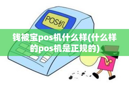 钱被宝pos机什么样(什么样的pos机是正规的)