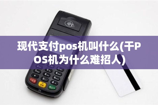 现代支付pos机叫什么(干POS机为什么难招人)