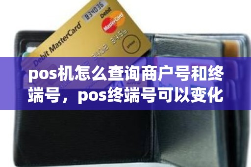 pos机怎么查询商户号和终端号，pos终端号可以变化吗