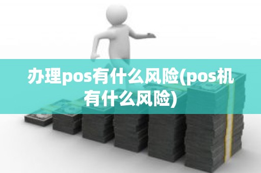 办理pos有什么风险(pos机有什么风险)