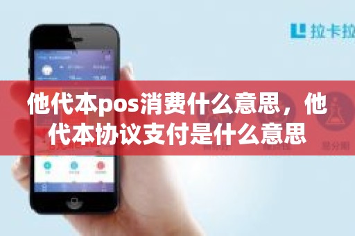 他代本pos消费什么意思，他代本协议支付是什么意思