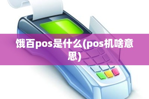 饿百pos是什么(pos机啥意思)