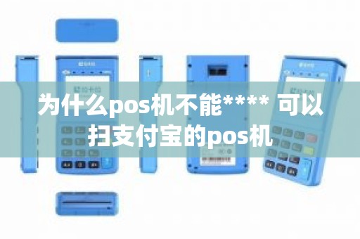 为什么pos机不能**** 可以扫支付宝的pos机