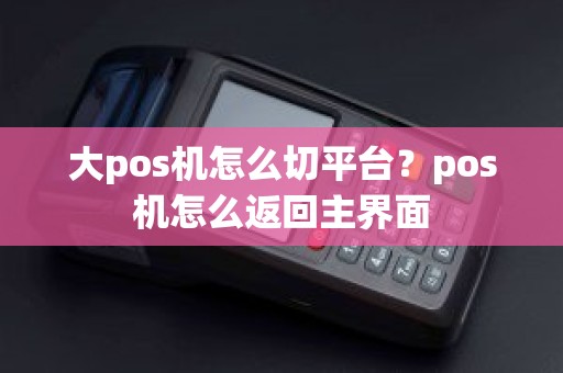 大pos机怎么切平台？pos机怎么返回主界面