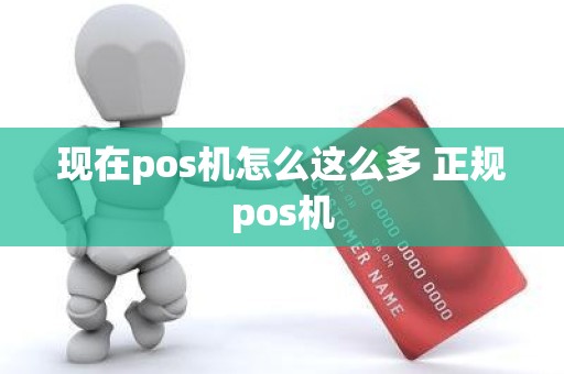 现在pos机怎么这么多 正规pos机