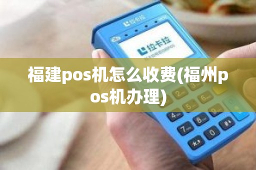 福建pos机怎么收费(福州pos机办理)