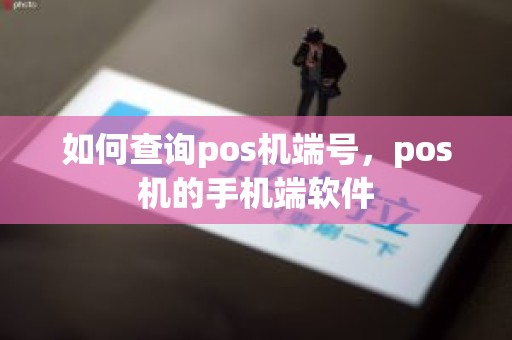 如何查询pos机端号，pos机的手机端软件