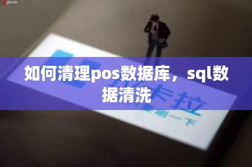 如何清理pos数据库，sql数据清洗