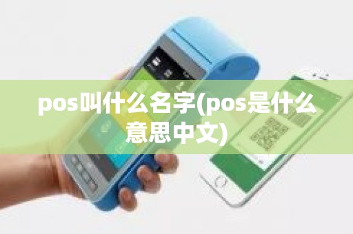 pos叫什么名字(pos是什么意思中文)