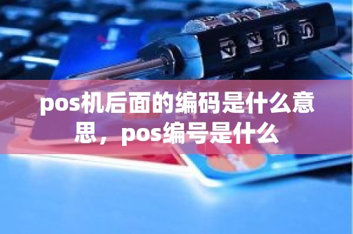 pos机后面的编码是什么意思，pos编号是什么