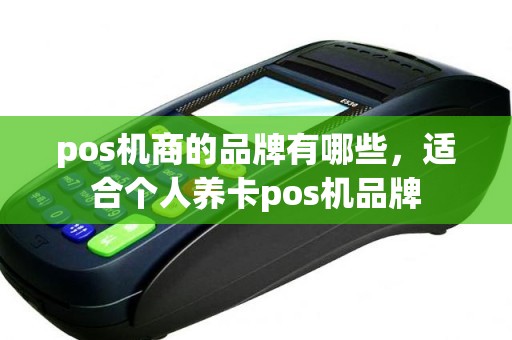 pos机商的品牌有哪些，适合个人养卡pos机品牌