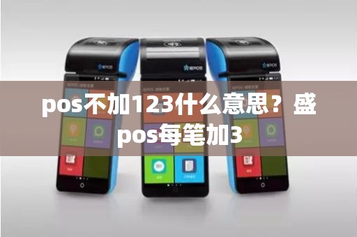 pos不加123什么意思？盛pos每笔加3