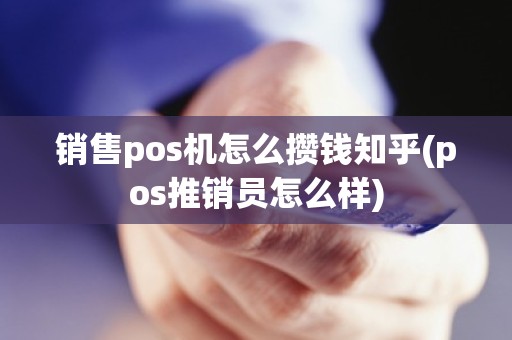 销售pos机怎么攒钱知乎(pos推销员怎么样)