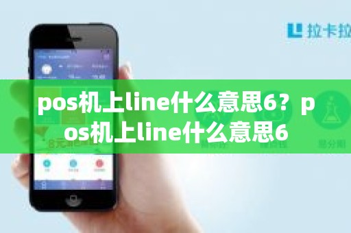 pos机上line什么意思6？pos机上line什么意思6