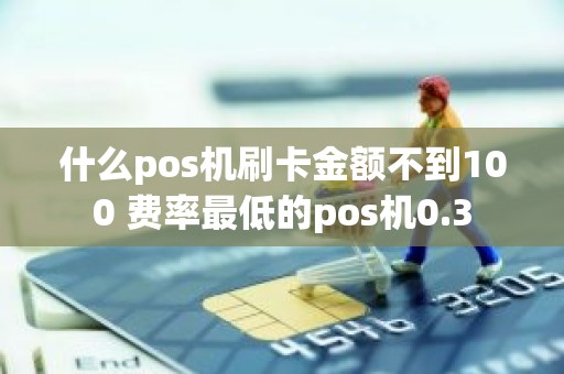 什么pos机刷卡金额不到100 费率最低的pos机0.3