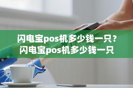 闪电宝pos机多少钱一只？闪电宝pos机多少钱一只